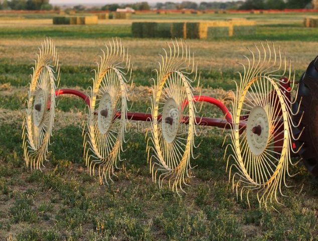 Rake Tines
