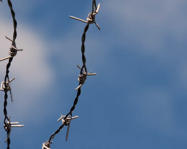Barbed Wire