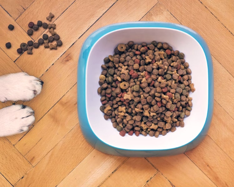 Small Pet Foods